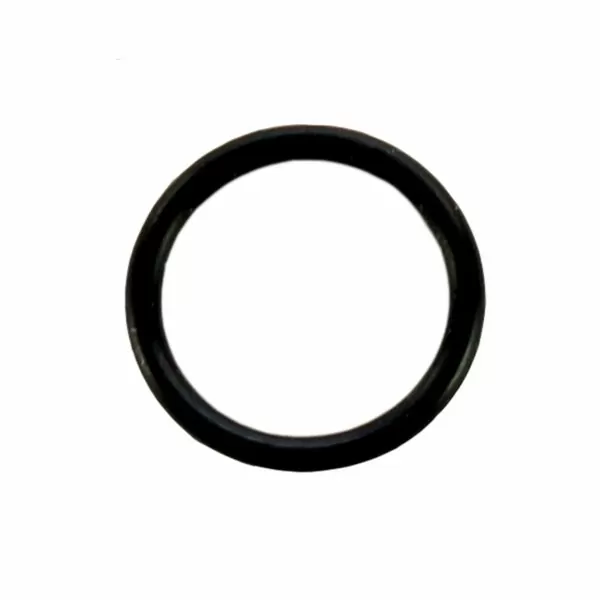 O-ring, Smaller, P1000G, P1000L (Pipette Supplies)